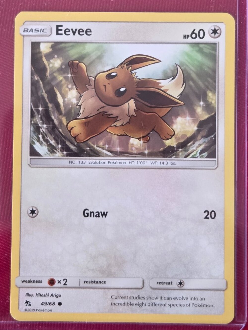 2019 POKEMON EEVEE CARD!!!